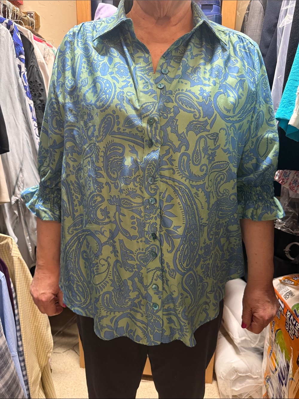 Finley Blue Paisley Button-Up Blouse on Green
